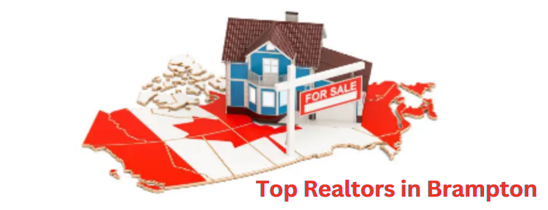 Top Realtors in Brampton: Guiding You through the Real Estate Maze