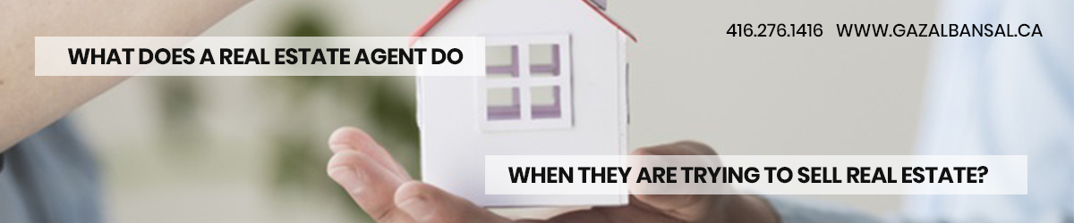 Real Estate Agent In Nobleton